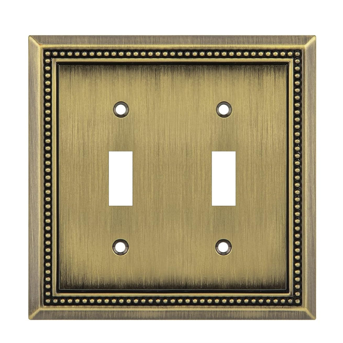 Double toggle switch plate with decorative border on a white background
