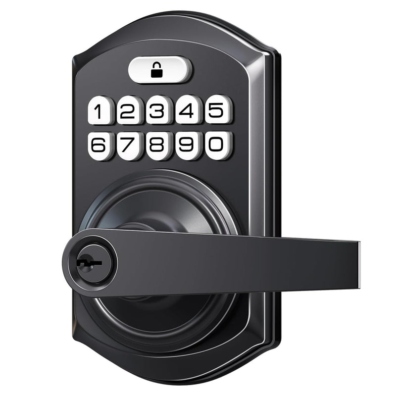 Keyless Entry TE004 Matte Black Keypad Entry Lever