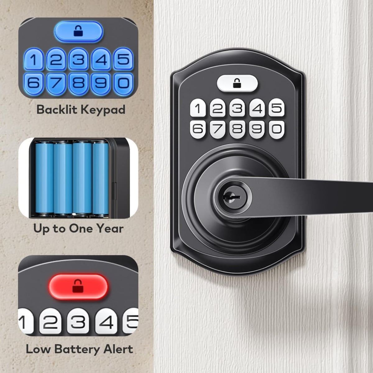 Keyless Entry TE004 Matte Black Keypad Entry Lever